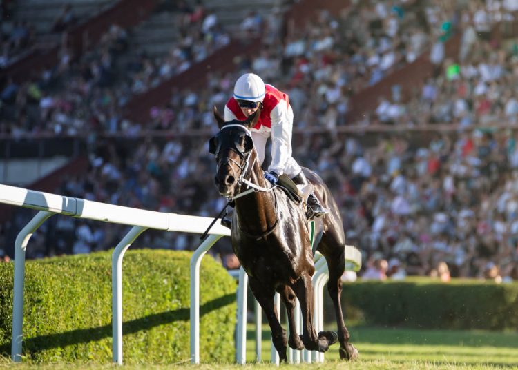 Australian Horse Racing Company investigated for $4 Billion OneCoin Ponzi